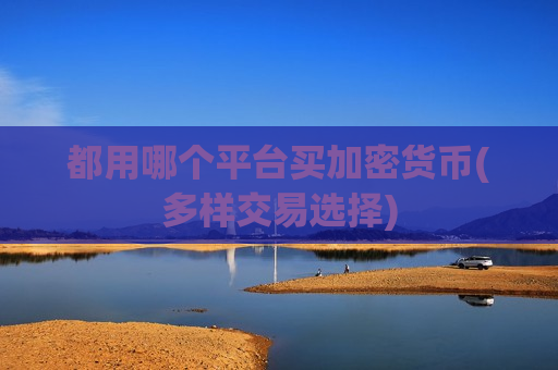 都用哪个平台买加密货币(多样交易选择)-第1张图片-币圈网 都用哪个平台买加密货币(多样交易选择)-第1张图片-币圈网