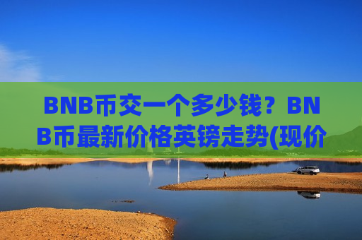 BNB币交一个多少钱？BNB币最新价格英镑走势(现价5502.25元)
