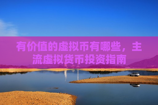 有价值的虚拟币有哪些，主流虚拟货币投资指南-第1张图片-币圈网