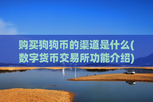 购买狗狗币的渠道是什么(数字货币交易所功能介绍)-第1张图片-币圈网
