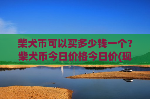 柴犬币可以买多少钱一个?柴犬币今日价格今日价(现价0.00021305元)-第1张图片-币圈网 柴犬币可以买多少钱一个?柴犬币今日价格今日价(现价0.00021305元)-第1张图片-币圈网