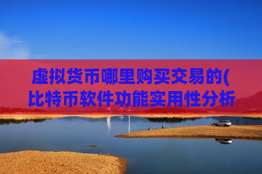 虚拟货币哪里购买交易的(比特币软件功能实用性分析)