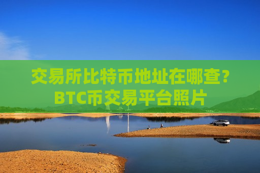 交易所比特币地址在哪查？BTC币交易平台照片-第1张图片-币圈网