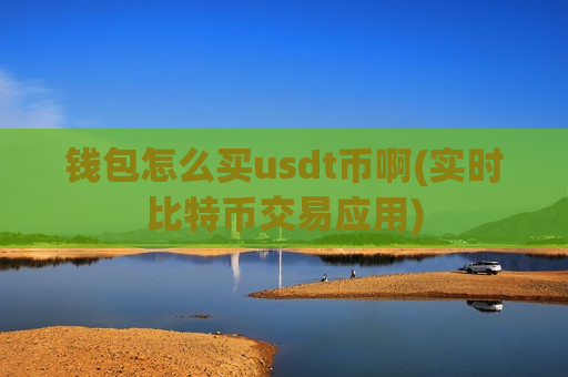 钱包怎么买usdt币啊(实时比特币交易应用)-第1张图片-币圈网 钱包怎么买usdt币啊(实时比特币交易应用)-第1张图片-币圈网