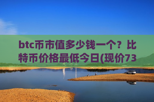 btc币市值多少钱一个？比特币价格最低今日(现价733965.63元)-第1张图片-币圈网