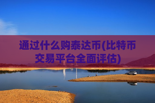 通过什么购泰达币(比特币交易平台全面评估)-第1张图片-币圈网