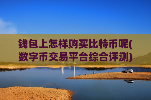 钱包上怎样购买比特币呢(数字币交易平台综合评测)-第1张图片-币圈网