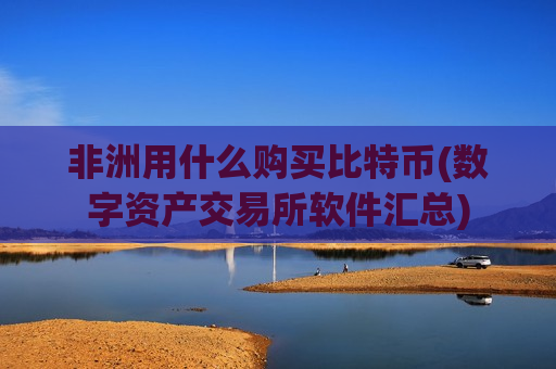 非洲用什么购买比特币(数字资产交易所软件汇总)-第1张图片-币圈网 非洲用什么购买比特币(数字资产交易所软件汇总)-第1张图片-币圈网