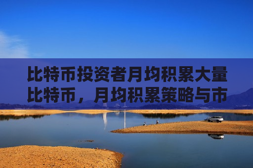 比特币投资者月均积累大量比特币，月均积累策略与市场分析-第1张图片-币圈网
