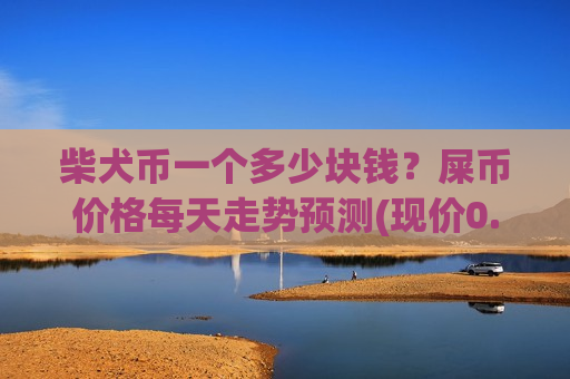 柴犬币一个多少块钱？屎币价格每天走势预测(现价0.00022875元)