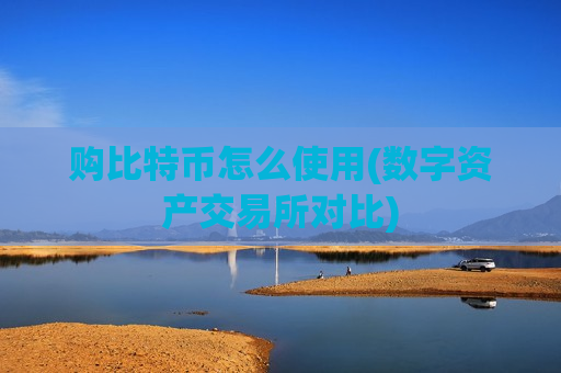 购比特币怎么使用(数字资产交易所对比)-第1张图片-币圈网 购比特币怎么使用(数字资产交易所对比)-第1张图片-币圈网