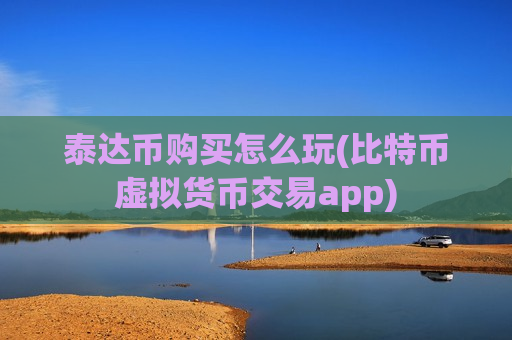 泰达币购买怎么玩(比特币虚拟货币交易app)