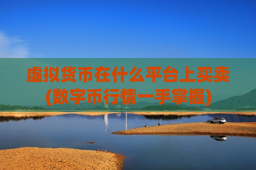 虚拟货币在什么平台上买卖(数字币行情一手掌握)