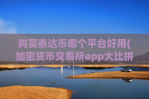 购买泰达币哪个平台好用(加密货币交易所app大比拼)-第1张图片-币圈网