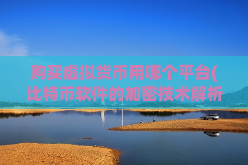 购买虚拟货币用哪个平台(比特币软件的加密技术解析)-第1张图片-币圈网