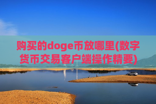 购买的doge币放哪里(数字货币交易客户端操作精要)-第1张图片-币圈网
