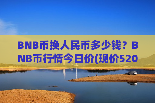 BNB币换人民币多少钱？BNB币行情今日价(现价5209.6元)-第1张图片-币圈网