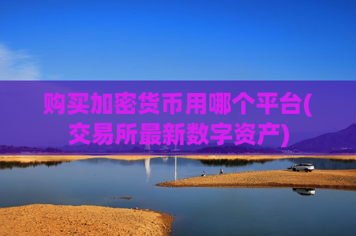 购买加密货币用哪个平台(交易所最新数字资产)-第1张图片-币圈网