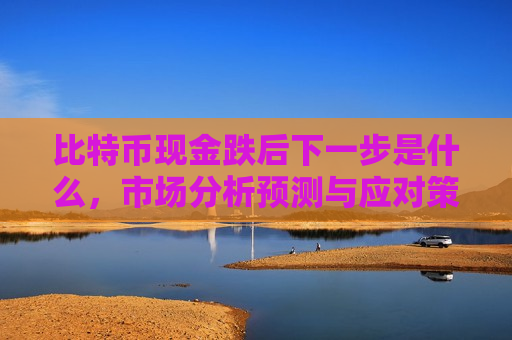 比特币现金跌后下一步是什么,市场分析预测与应对策略-第1张图片-币圈网 比特币现金跌后下一步是什么,市场分析预测与应对策略-第1张图片-币圈网