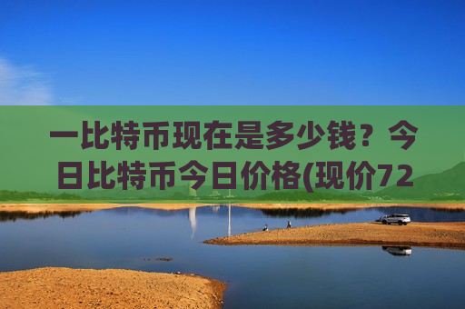 一比特币现在是多少钱？今日比特币今日价格(现价728551.99元)