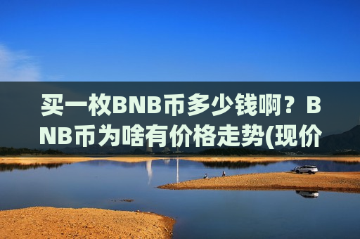买一枚BNB币多少钱啊？BNB币为啥有价格走势(现价5206.32元)-第1张图片-币圈网