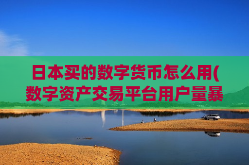 日本买的数字货币怎么用(数字资产交易平台用户量暴增)