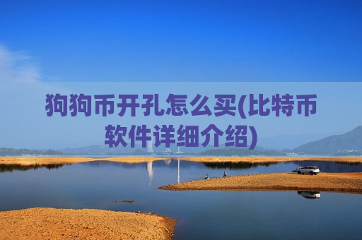 狗狗币开孔怎么买(比特币软件详细介绍)-第1张图片-币圈网