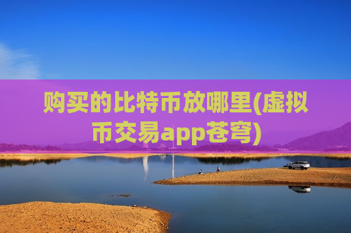 购买的比特币放哪里(虚拟币交易app苍穹)-第1张图片-币圈网 购买的比特币放哪里(虚拟币交易app苍穹)-第1张图片-币圈网