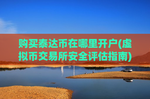 购买泰达币在哪里开户(虚拟币交易所安全评估指南)-第1张图片-币圈网