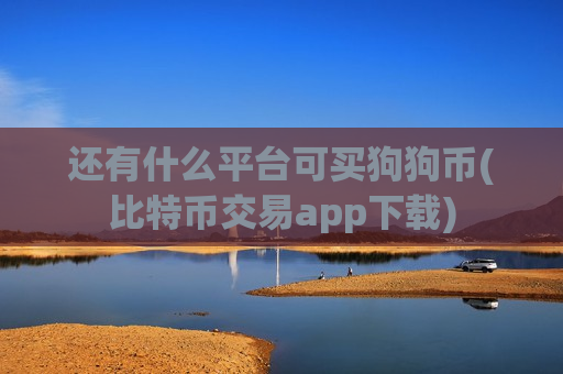 还有什么平台可买狗狗币(比特币交易app下载)-第1张图片-币圈网