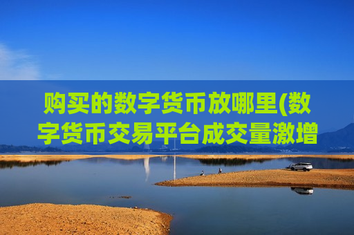 购买的数字货币放哪里(数字货币交易平台成交量激增)-第1张图片-币圈网
