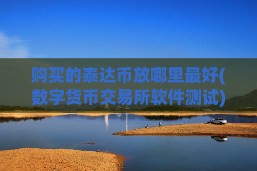 购买的泰达币放哪里最好(数字货币交易所软件测试)-第1张图片-币圈网 购买的泰达币放哪里最好(数字货币交易所软件测试)-第1张图片-币圈网