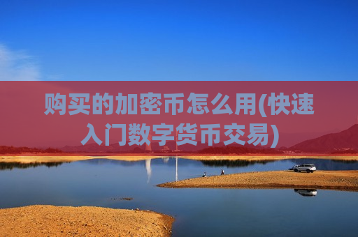 购买的加密币怎么用(快速入门数字货币交易)-第1张图片-币圈网 购买的加密币怎么用(快速入门数字货币交易)-第1张图片-币圈网