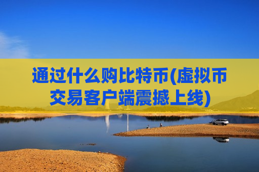 通过什么购比特币(虚拟币交易客户端震撼上线)-第1张图片-币圈网