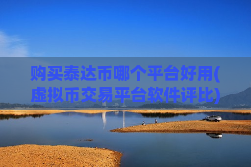 购买泰达币哪个平台好用(虚拟币交易平台软件评比)-第1张图片-币圈网