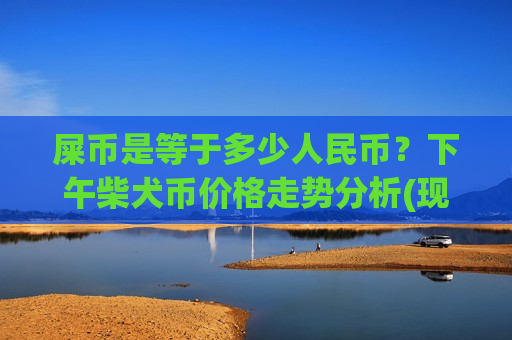 屎币是等于多少人民币？下午柴犬币价格走势分析(现价0.00021336元)-第1张图片-币圈网