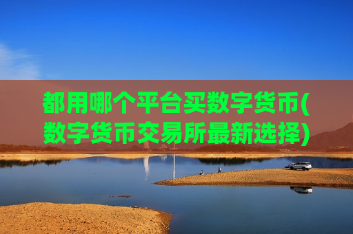 都用哪个平台买数字货币(数字货币交易所最新选择)-第1张图片-币圈网