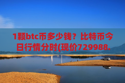 1颗btc币多少钱？比特币今日行情分时(现价729988.01元)-第1张图片-币圈网