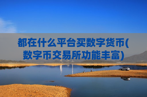 都在什么平台买数字货币(数字币交易所功能丰富)-第1张图片-币圈网 都在什么平台买数字货币(数字币交易所功能丰富)-第1张图片-币圈网