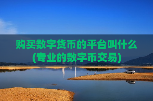 购买数字货币的平台叫什么(专业的数字币交易)-第1张图片-币圈网 购买数字货币的平台叫什么(专业的数字币交易)-第1张图片-币圈网