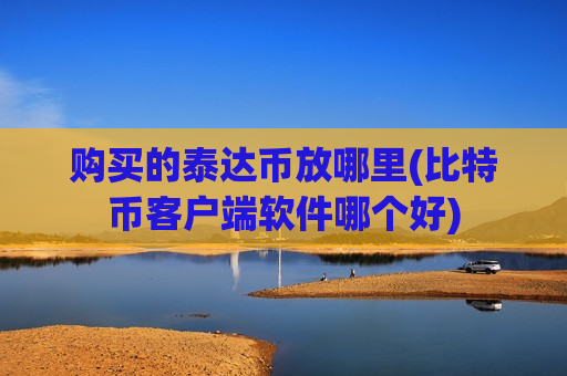 购买的泰达币放哪里(比特币客户端软件哪个好)-第1张图片-币圈网