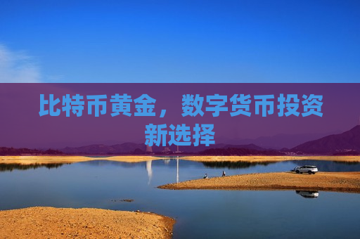 比特币黄金，数字货币投资新选择