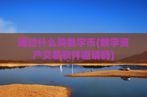 通过什么购数字币(数字资产交易软件邀请码)-第1张图片-币圈网