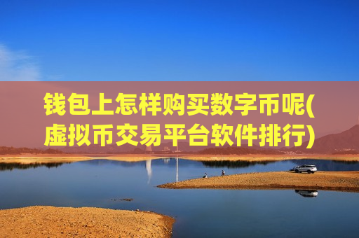 钱包上怎样购买数字币呢(虚拟币交易平台软件排行)-第1张图片-币圈网