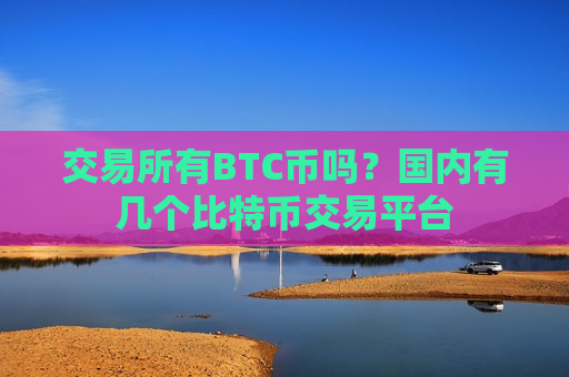 交易所有BTC币吗?国内有几个比特币交易平台-第1张图片-币圈网 交易所有BTC币吗?国内有几个比特币交易平台-第1张图片-币圈网