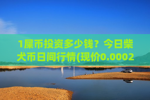 1屎币投资多少钱？今日柴犬币日间行情(现价0.00021208元)-第1张图片-币圈网