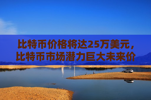 比特币价格将达25万美元,比特币市场潜力巨大未来价值预测-第1张图片-币圈网 比特币价格将达25万美元,比特币市场潜力巨大未来价值预测-第1张图片-币圈网