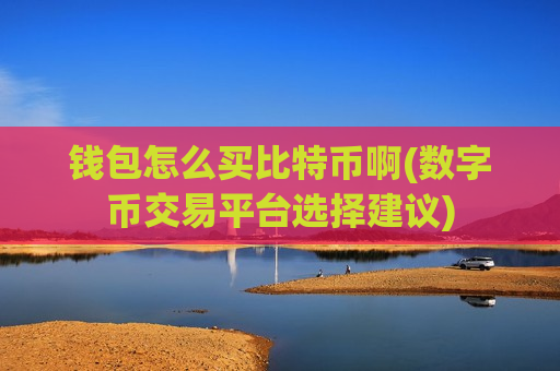 钱包怎么买比特币啊(数字币交易平台选择建议)-第1张图片-币圈网