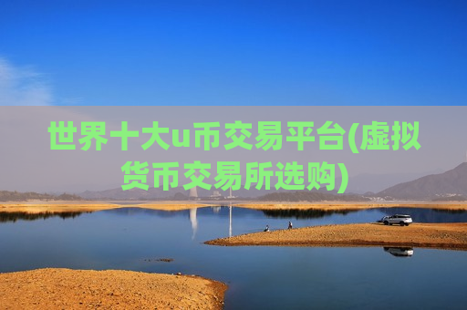 世界十大u币交易平台(虚拟货币交易所选购)-第1张图片-币圈网
