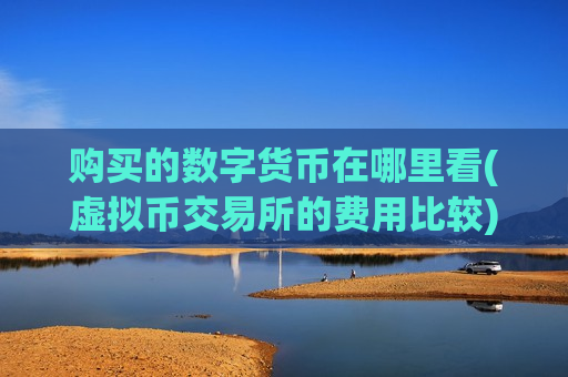购买的数字货币在哪里看(虚拟币交易所的费用比较)-第1张图片-币圈网 购买的数字货币在哪里看(虚拟币交易所的费用比较)-第1张图片-币圈网